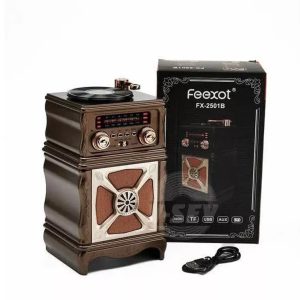 اسپیکر رادیویی بلوتوثی مدل FEEXOT FX-2501b